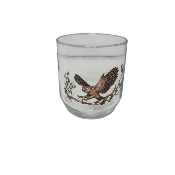 Vintage American Wildlife Low Ball Glasses Sunoco - Spotted Owl  - Set of Two - Picture 2 of 8